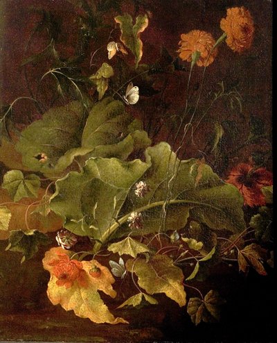 码头叶子和其他花，c.1820 作者 詹姆斯·西列特