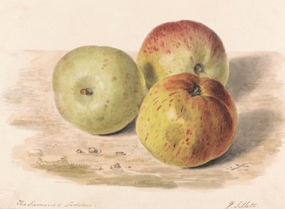 夏日洛登》，1832 年 9 月：三个苹果的静物研究 作者 詹姆斯·西列特