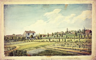 威廉·柯蒂斯（William Curtis）的植物园，兰贝斯沼泽（Lambeth Marsh），前1787年，约1787年 作者 詹姆斯·索尔比