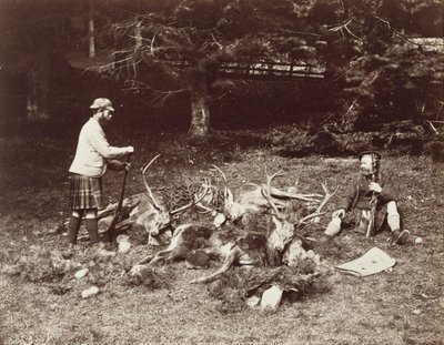 等待小马 作者 詹姆斯·瓦伦丁