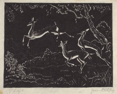 飞行（木刻版画） 作者 詹姆斯·里德