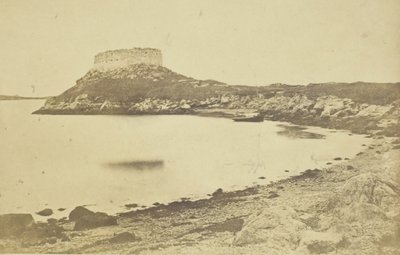 饺子堡，185974。 作者 詹姆斯·华莱士·布莱克