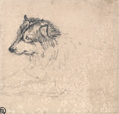 北极犬，面向左侧 作者 詹姆斯·沃德