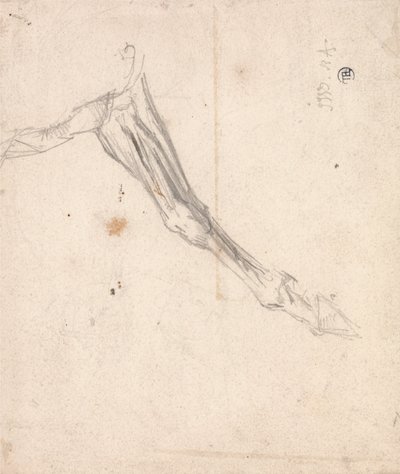 马的前腿-可能是泰特美术馆（Tate Gallery）的一项关于L&39;Amour de Cheval的研究，日期为1827年 作者 詹姆斯·沃德