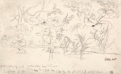 植物研究》，1815 年 8 月 2 日 作者 詹姆斯·沃德