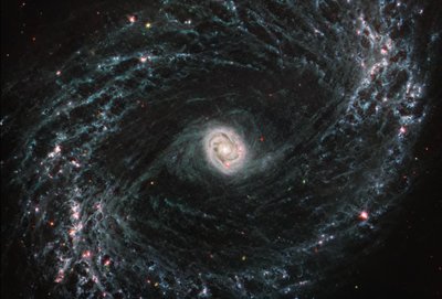 NGC 1433（MIRI 图像） 作者 詹姆斯韦伯太空望远镜 (NASA)