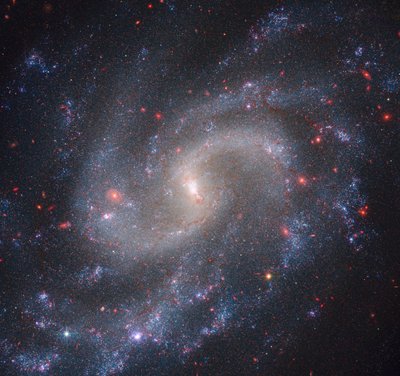 NGC 5584（Webb NIRCam + Hubble WFC3） 作者 詹姆斯韦伯太空望远镜 (NASA)