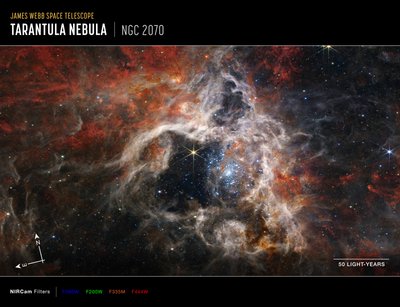 狼蛛星云（NIIRCam 指南针图像） 作者 詹姆斯韦伯太空望远镜 (NASA)