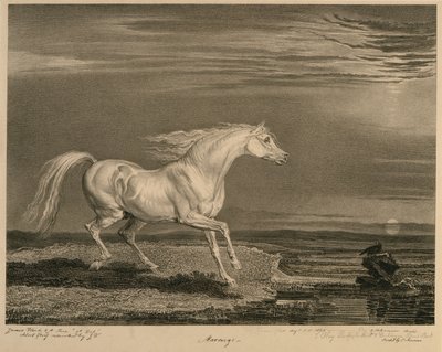 Marengo，来自Celebrated Horses，由艺术家1823-24出版的14件赛车版画 作者 沃德之后的詹姆斯