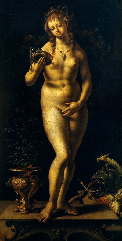 维纳斯（板上油画 作者 一月（c.1472-c.1533）戈萨尔特