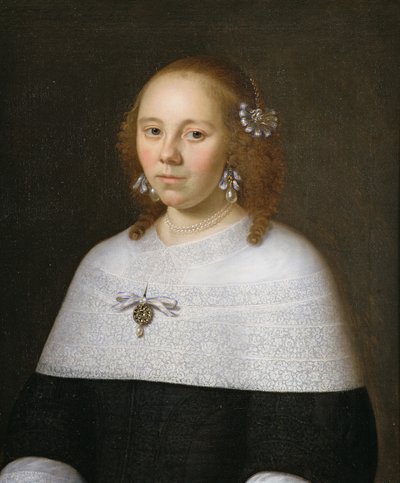 1658年来自霍伦的一名年轻女子的画像 作者 Jan Albertsz Rootius