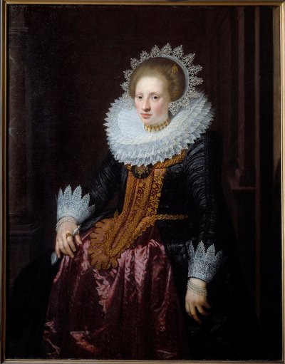 女人的肖像 以前被称为 Vrydags Van Vollenhoven 的儿子肖像画，作者是 Jan Van Ravesteyn (1570-1657) (ec.holl.) 1620 Sun。 1.34x1.04 米里尔，Musee des Beaux Arts 作者 扬·安托尼斯（Jan Anthonisz）。范拉维斯汀