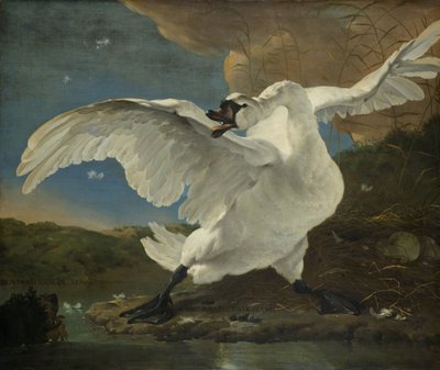 受威胁的天鹅，1650年 作者 扬·阿瑟琳（Jan Asselyn）
