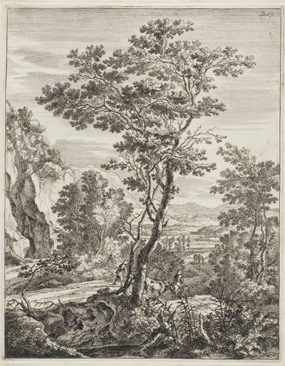 大树，选自《直立的意大利风景》（Upright Italian Landscapes 作者 扬·博特