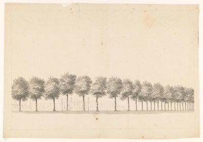 巴达维亚的 Bomenallee 作者 简·布兰德斯