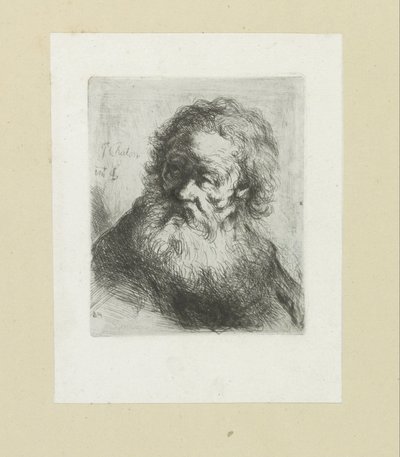 Oude man met baard
约翰-夏隆的蚀刻画全集》/《让-夏隆的蚀刻画全集》（丛书名） 作者 克里斯蒂安·乔西