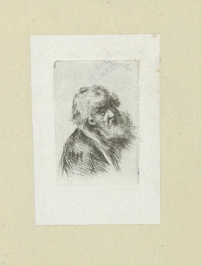 Oude man met baard
约翰-夏隆的蚀刻画全集》/《让-夏隆的蚀刻画全集》（丛书名） 作者 克里斯蒂安·乔西