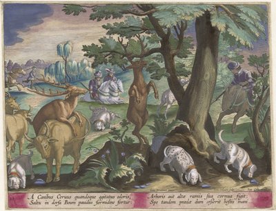 带狗猎鹿
狩猎场景（系列标题）
Venationes Ferarum, auium, piscium pvgnae Bestiariorum（系列标题） 作者 乔安妮斯·加勒