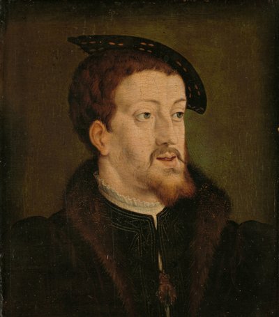 神圣罗马帝国皇帝查理五世的肖像 作者 Jan Cornelisz Vermeyen (人)