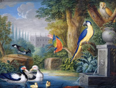 观赏花园中的异国鸟类，约1650年（纸上水粉画） 作者 扬·格里兹（Jan Gerritsz）。范布朗克霍斯特