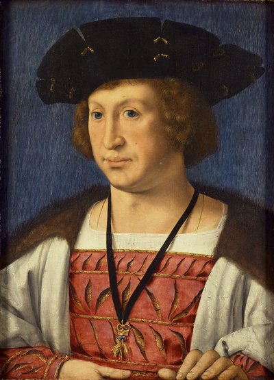 Floris van Egmond 1469-1539，布伦伯爵，1536年 作者 扬·高萨特（Jan Gossaert）