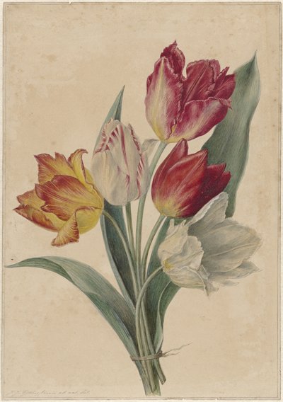 郁金香花束 作者 扬·雅各布·戈特林·文尼斯
