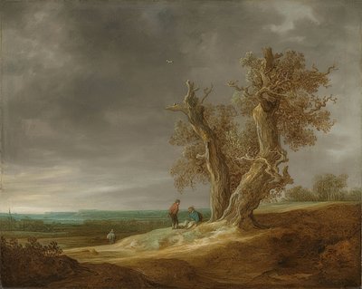 与两棵橡树的风景。 1641 作者 扬·约瑟夫斯·范·高恩