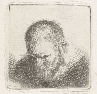 留胡子的男子 作者 伦勃朗·范·莱恩 (Rembrandt van Rijn)