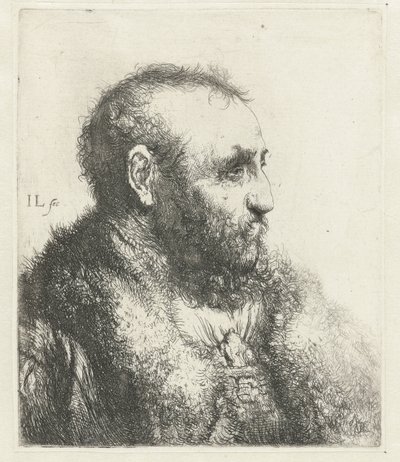 穿裘皮大衣的老人半身像 作者 扬·利文斯（Jan Lievens）