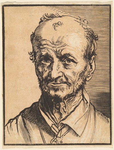 秃顶男子半身像 作者 扬·利文斯（Jan Lievens）