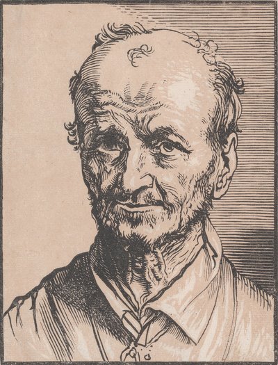 男人的半身像，17世纪。 作者 扬·利文斯（Jan Lievens）