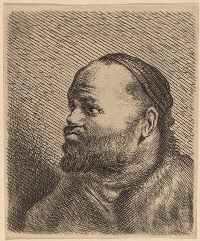 厚唇男子半身像 作者 扬·利文斯（Jan Lievens）