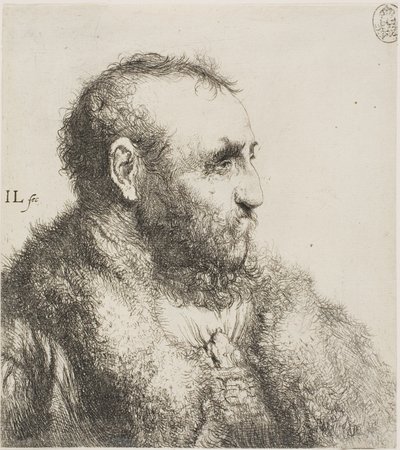 老人半身像 作者 扬·利文斯（Jan Lievens）