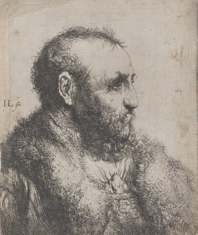 带毛领的老人半身像，17世纪。 作者 扬·利文斯（Jan Lievens）
