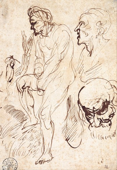 模型之后的研究 作者 扬·利文斯（Jan Lievens）