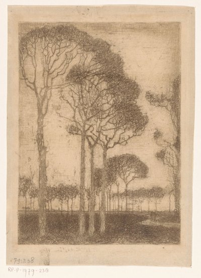 奥拉涅沃德边缘的树木 作者 Jan Mankes