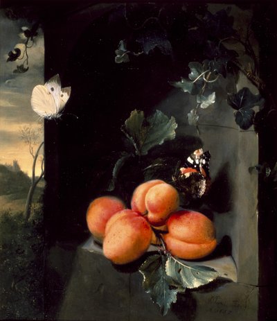 静物与杏和蝴蝶，1683年 作者 扬·莫特尔