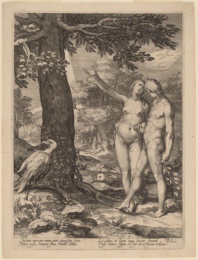 知识树前的亚当和夏娃 作者 Jan Pietersz Saenredam 在 Abraham Bloemaert 之后