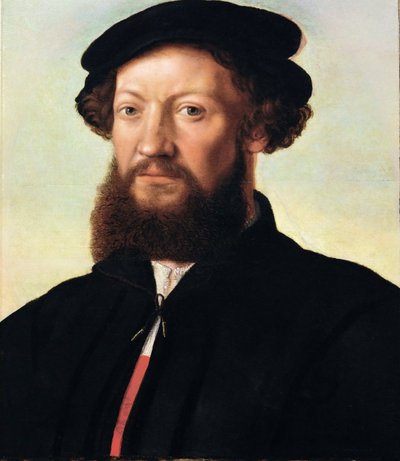 Portrait of a Man - Jan Sanders van Hemessen (c. 1500-c. 1566). Oil on wood, ca 1555. Dimension : 47x39 cm. Art History Museum, Vienne 作者 扬·桑德斯·范·赫姆森