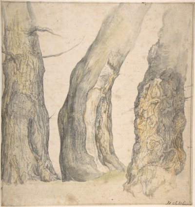 三棵老树的研究》，1660年。 作者 扬·西伯雷兹（Jan Siberechts）