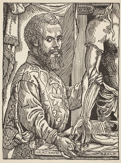 Andre Vesale，Boris Mestchersky的复制品（d.1957），国家法兰西，科学，第一和第二卷的历史插图，Gabriel Hanotaux（1853-1944），1924年 作者 扬·斯蒂芬·范·卡尔卡尔