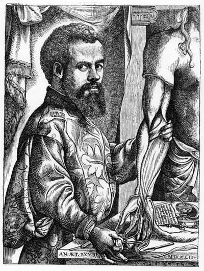 安德烈亚斯·维萨利斯（1514-64）的肖像，来自他的着作“De Humani Corporis Fabrica”，1543年，来自“中世纪和文艺复兴时期的科学与文学”的插图，由保罗编写和雕刻 作者 扬·斯蒂芬·范·卡尔卡尔