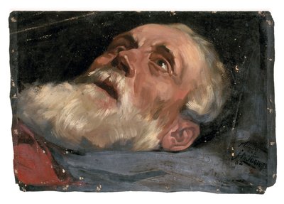 老人的头（研究）1882 年（布面油画） 作者 扬·图洛普