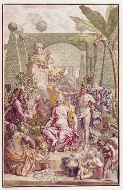 &39;Hortus Cliffortianus&39;的主题作者：Carl Linnaeus（1707-78） 作者 扬·旺德拉尔