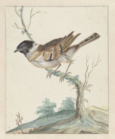 西戈尔（？） 作者 Jan Baptist Weenix