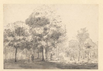 哈勒姆 Haarlemmerhout 景观 作者 扬·范·凯塞尔（归因于）