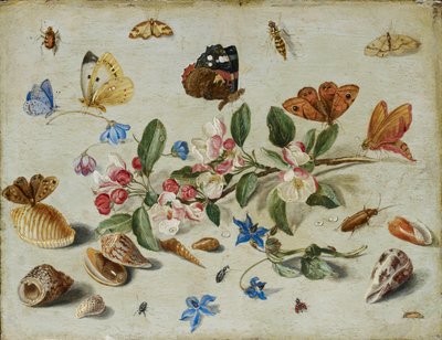 花和昆虫，1650年代末或1660年代初 作者 扬·范·凯塞尔（Jan van Kessel）