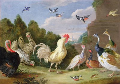 树木繁茂的景观与公鸡，土耳其，母鸡和其他鸟类，17世纪 作者 Jan van Kessel the Elder