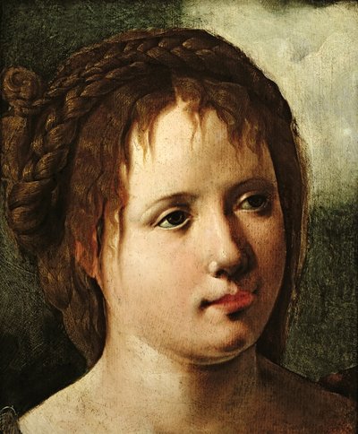 一个女孩的头，153035 作者 Jan van Scorel