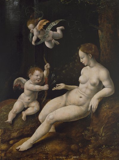 金星和两个丘比特，约1528年（面板上的油） 作者 扬·范·斯柯（Jan van Scorel）